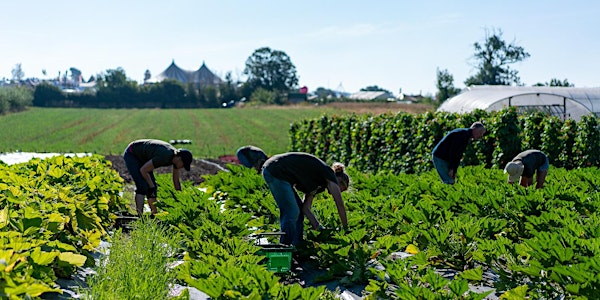 Summer Community Farmer Day - 16th August | The Community Farm