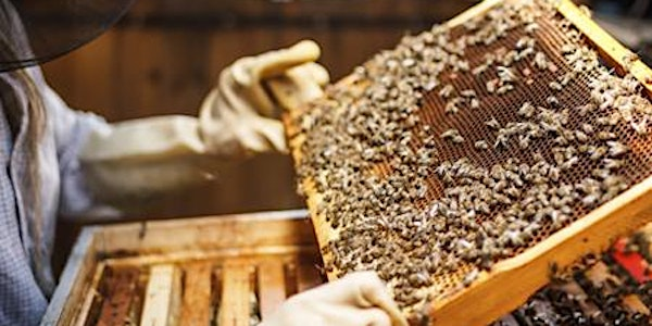 Gulf Coast Beekeepers of Florida - Monthly Meeting - Collier county | Good Mood Ranch