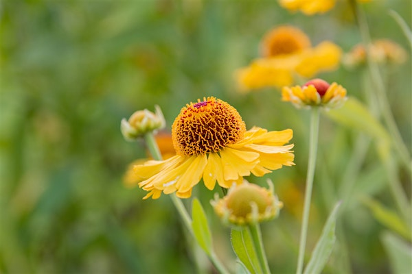 West Creek Conservancy's 2026 Annual Meeting | Ridgewood Golf Course