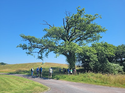 National Botanic Garden of Wales: Landscape Restoration and Heritage | National Botanic Garden of Wales