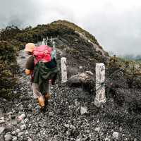 Hiking Mount Gede Pangrango