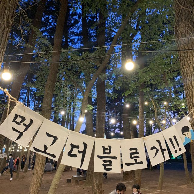 제주 야시장 추천 '수목원길 야시장' 제주 야시장 추천 '수목원길 야시장'