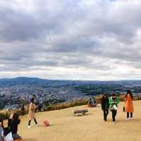 絶景紅葉と日本の歴史を感じる旅！奈良公園と若草山