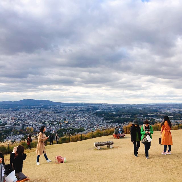 絶景紅葉と日本の歴史を感じる旅！奈良公園と若草山