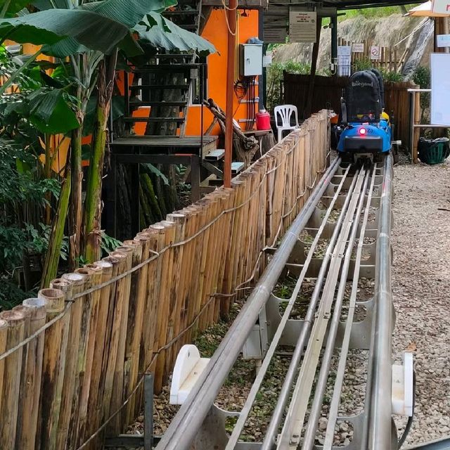 โป่งแยงจังเกิ้ล โคสเตอร์

