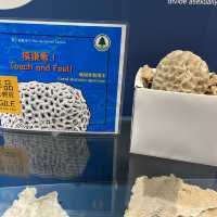 西貢小清新之旅