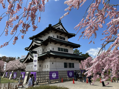青森 弘前城はまるでお花畑 Trip Com 東京の旅のブログ
