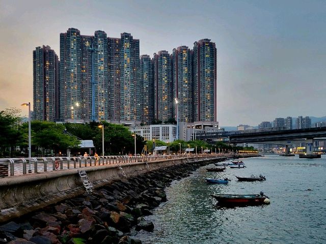 晨運海灣濱長廊