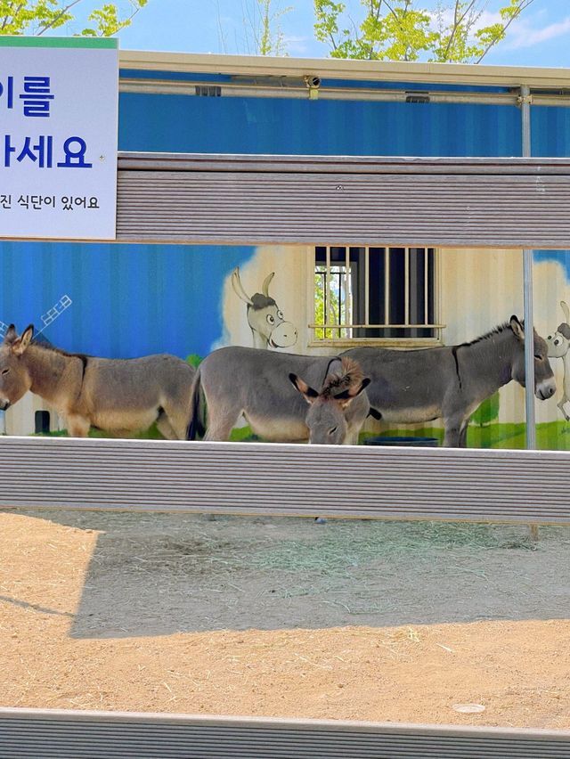 부산 봄나들이 가기 좋은 해운대 수목원 🌿