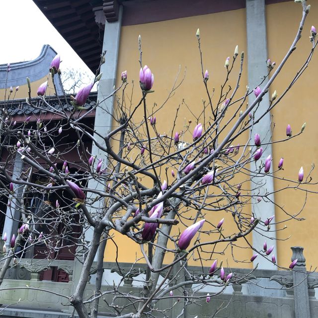 Temple nested in a beautiful landscape