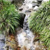 [佐賀]裏道でさらに森林浴🌳「清水の滝」