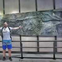 Biggest Dino Fossil I ever Seen