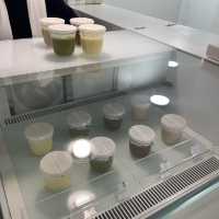 [제주도 푸딩] 유명한 이유는 있다⁉️푸딩 맛집 여긴 무조건 먹어야하는 곳❕