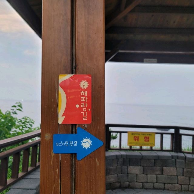 경주여행 양남 주상절리
