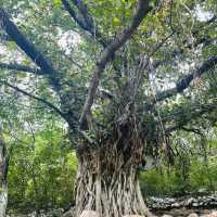 Epic Trail 5 Hike