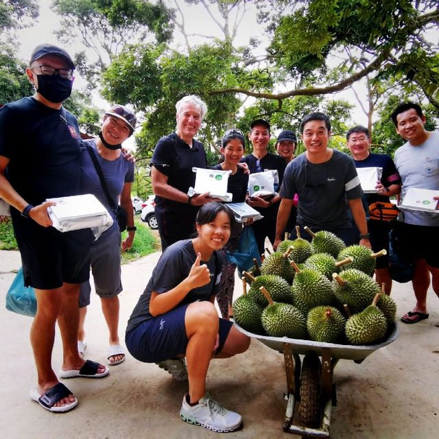 Durian Farm Expedition In Kulai Johor 