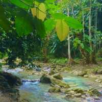 Try Canyoneering at Kawasan Falls