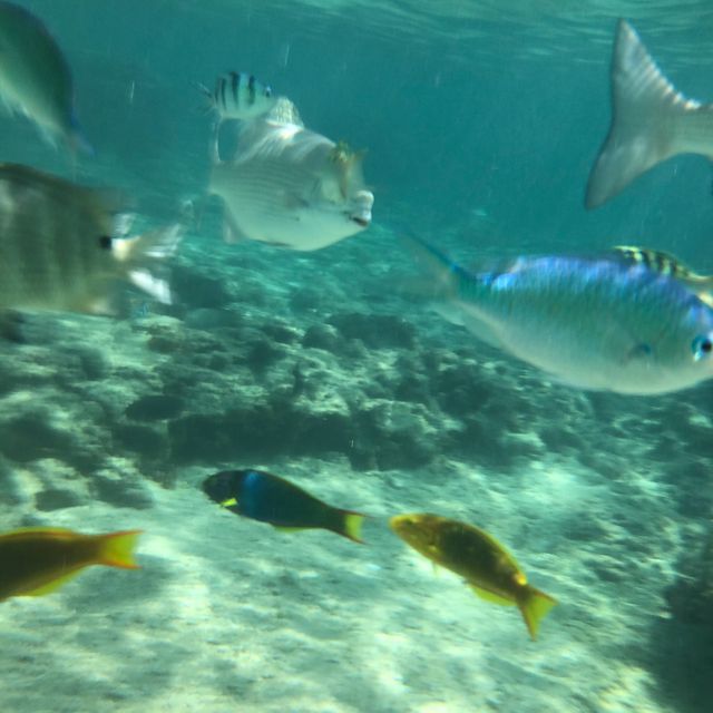 日本で1番　海がきれいな宮古島