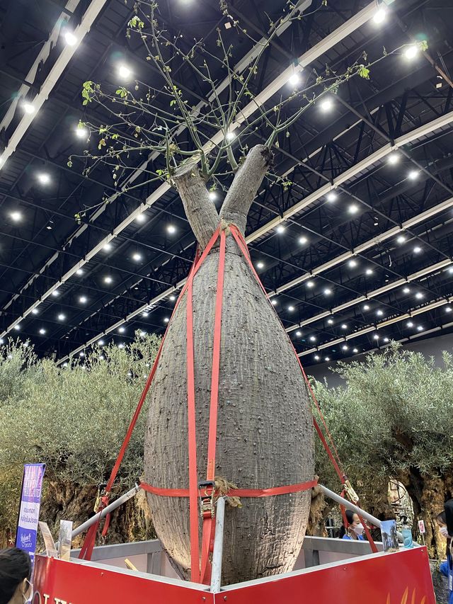 บ้านและสวนแฟร์ 2022 งานประจำปีสำหรับคนรักบ้าน