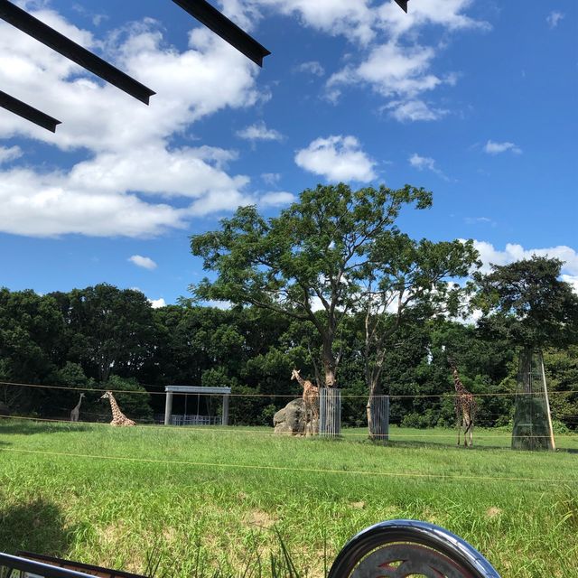 (愛知県)のんほいパーク