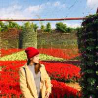 Flower Valley Tay Ho