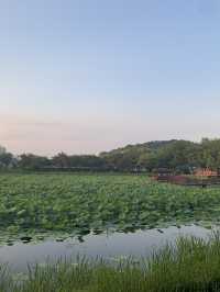 경남 진주 최고의 연못공원💚 강주연못 💚