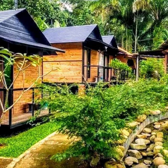 Suria Rimba Chalet 