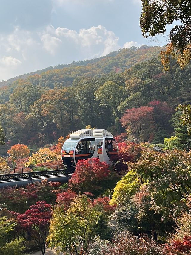 서울 근교 가을 단풍 핫플은 바로 여기!