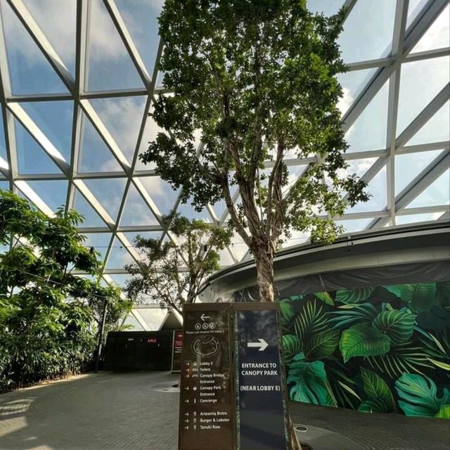 A great experience at Canopy Park 