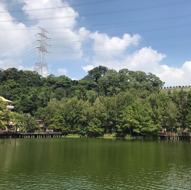 南投車埕跟著綜藝玩很大踩點