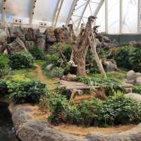 Ocean Park Hong Kong
