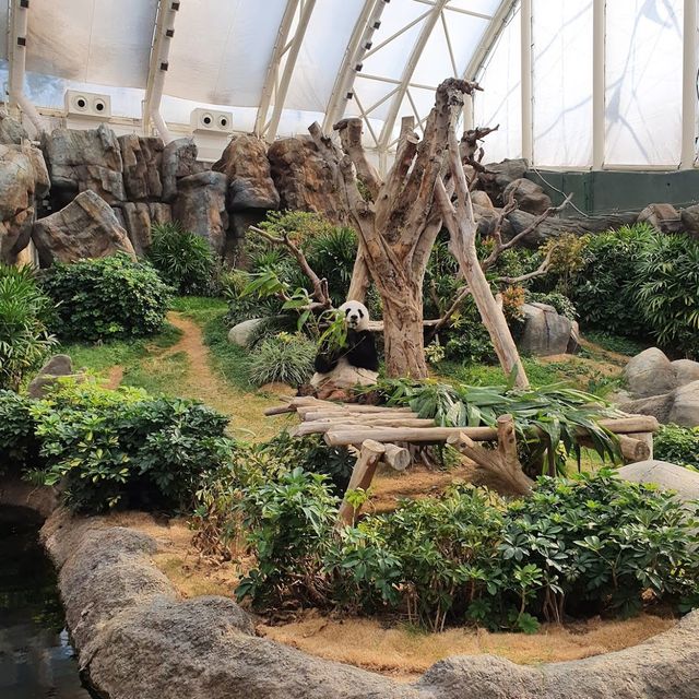Ocean Park Hong Kong