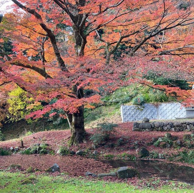 滋賀県　ヤギのいるお寺で紅葉狩り