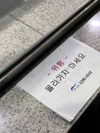 서울 명동 크리스마스 신세계백화점 미디어파사드
