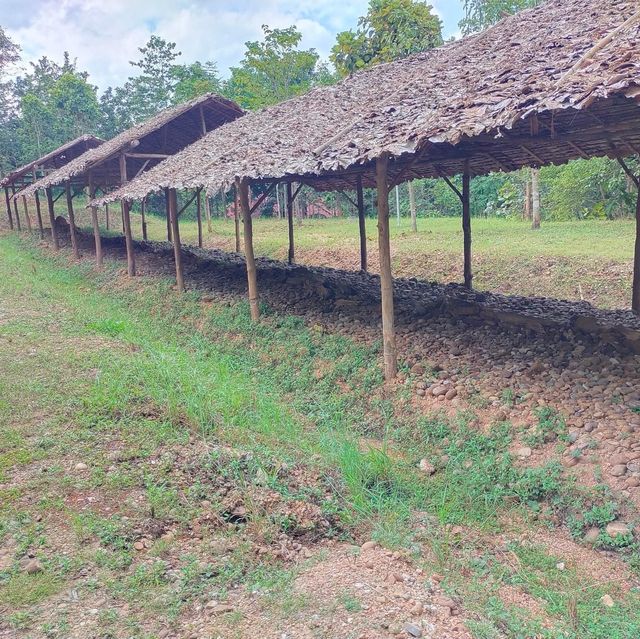 อุทยานแห่งชาติไม้กลายเป็นหิน 