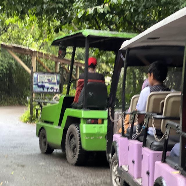  The oldest zoo in Malaysia : Zoo Taiping