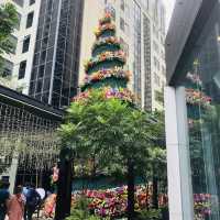 Season Feels at Eastwood City