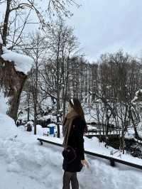 눈오는 날 더 매력적인 후키다시 공원 🏞️