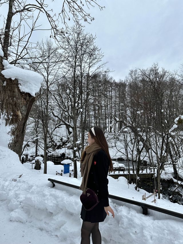 눈오는 날 더 매력적인 후키다시 공원 🏞️