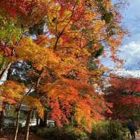 京都地位崇高、日本禪宗最高寺院 – 南禪寺