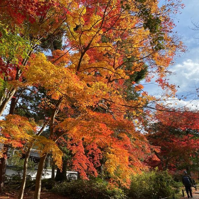 京都地位崇高、日本禪宗最高寺院 – 南禪寺