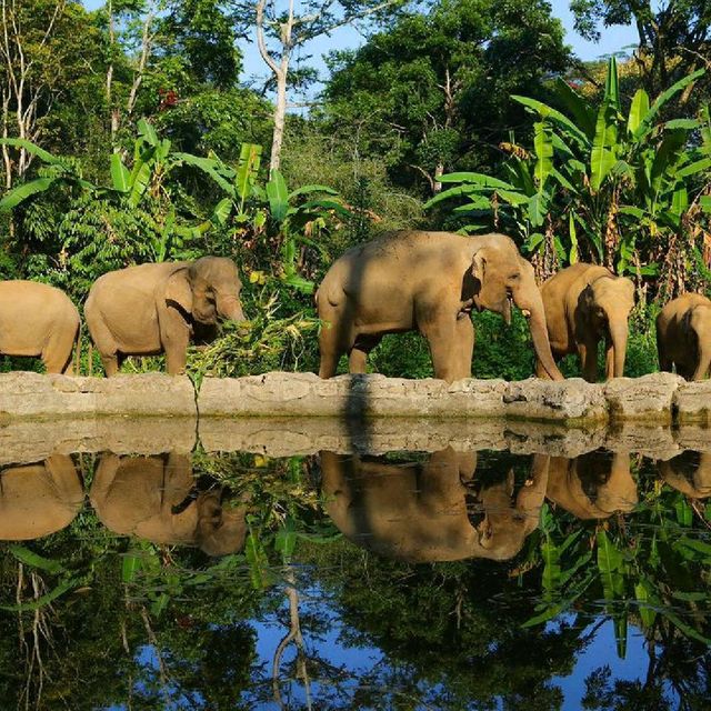 Bogor Safari Park