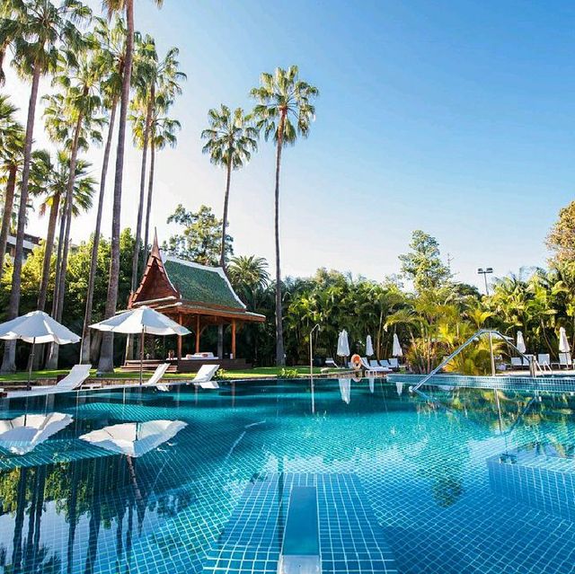 Beautiful Botanico