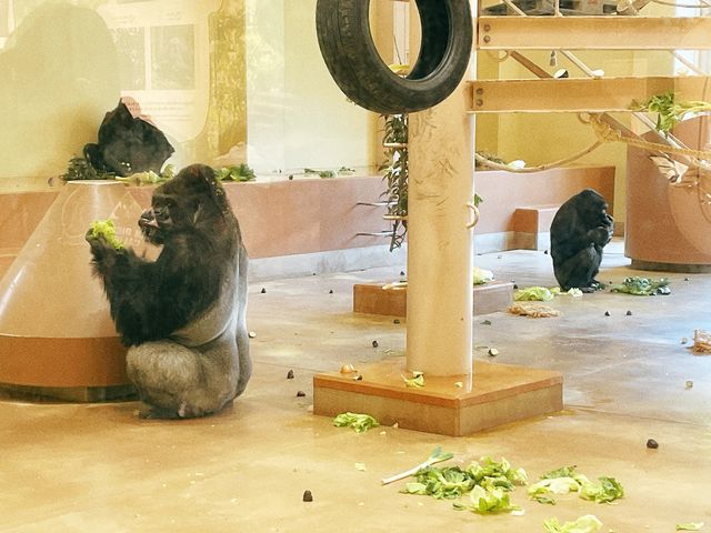 名古屋【東山動植物園】