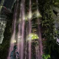 Walking on Clouds at Cloud Forest