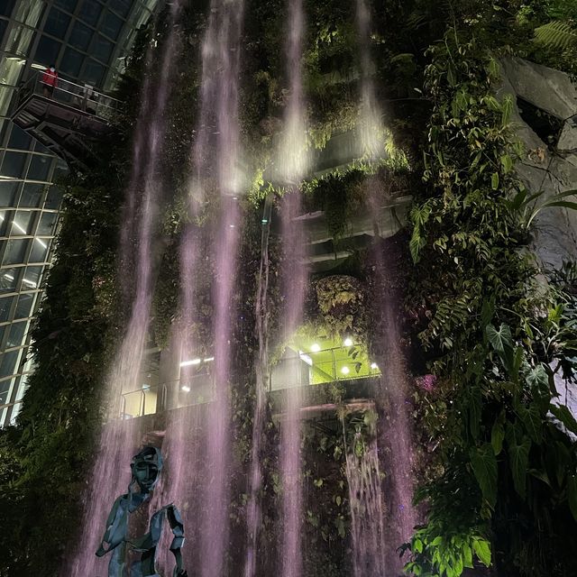Walking on Clouds at Cloud Forest