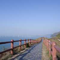 港版貓島之大澳