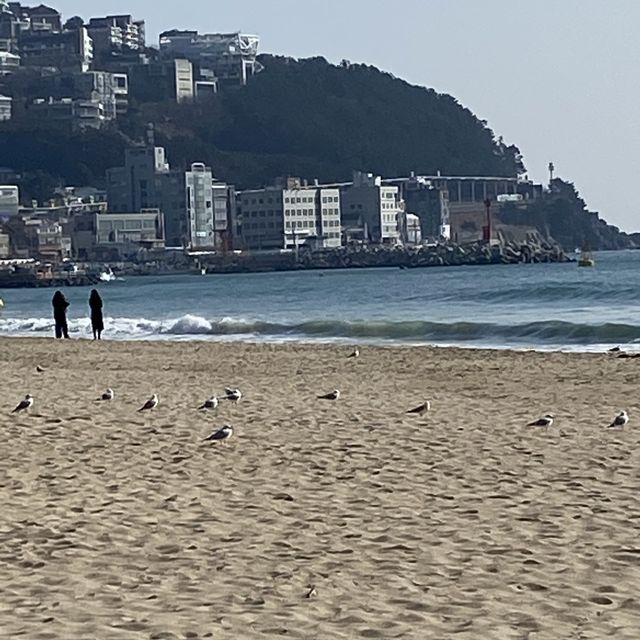 호텔 호캉스는 해운대 라마다 앙코르호텔에서!