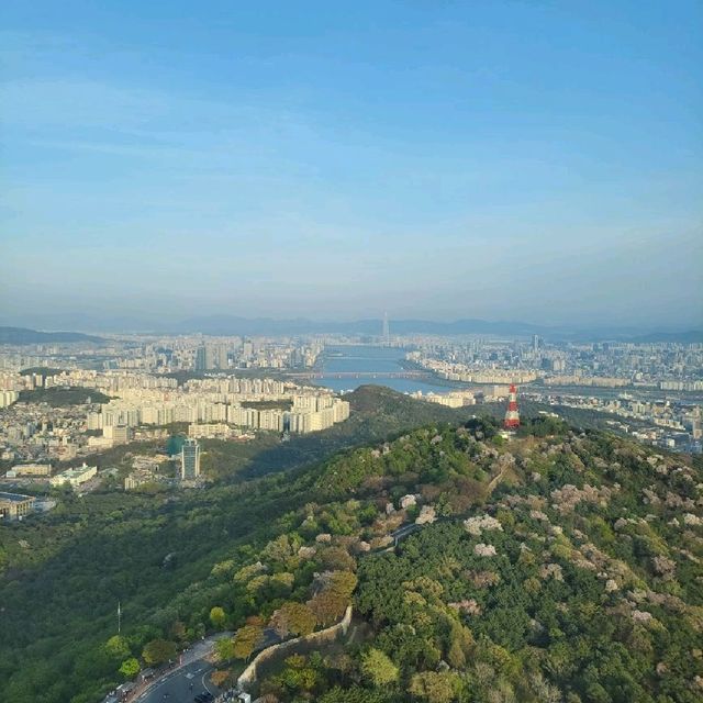 서울타워에서 보는 서울의 봄🌸