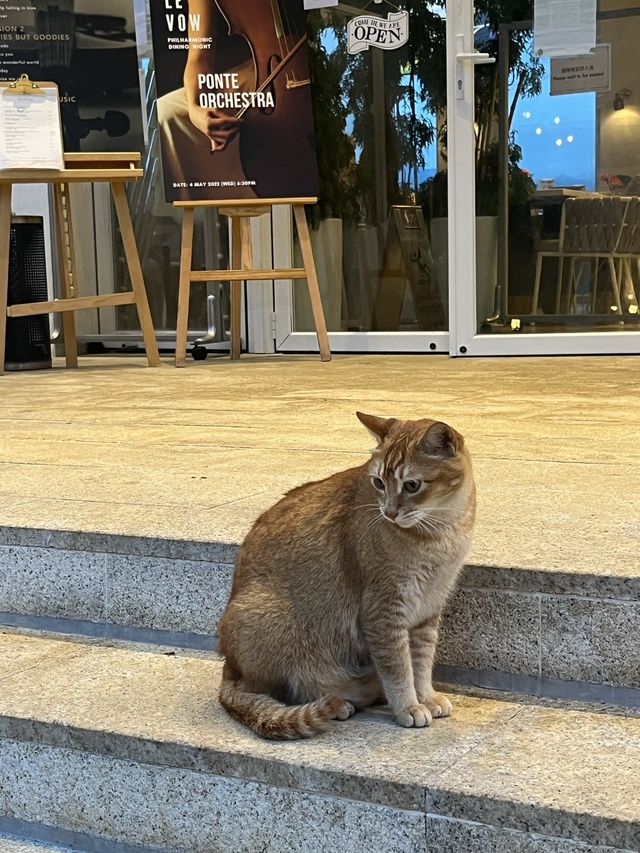 可看著湖景用餐的純白歐陸風西餐廳